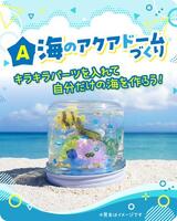 アクアドーム
